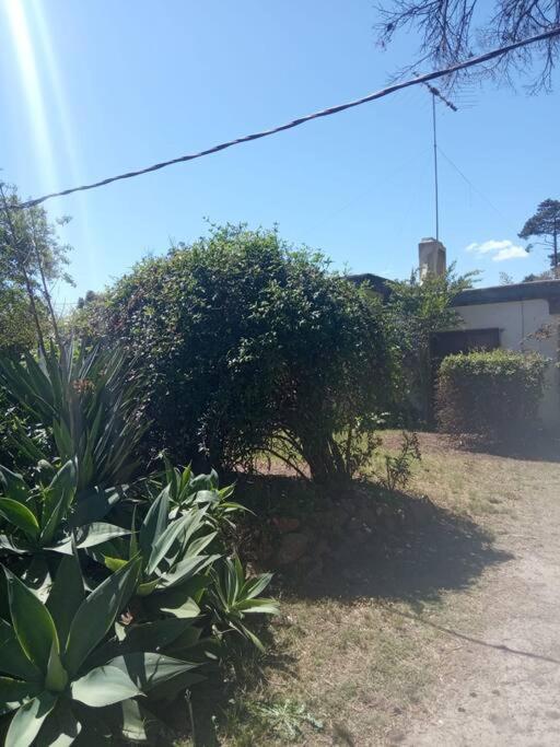 2 bedrooms Villa with Garden and Spa Bath